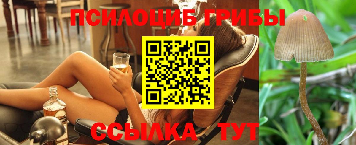 Псилоцибиновые грибы Psilocybine cubensis Владикавказ